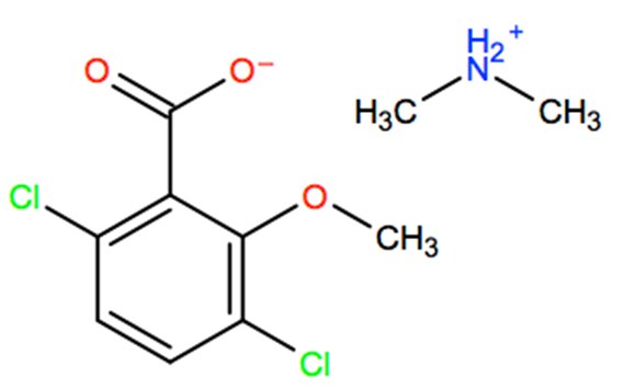 Structural representation of Dimethylamine dicamba