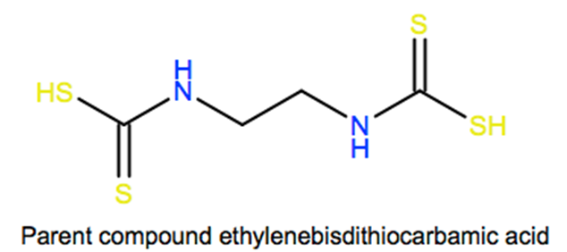 Structural representation of Ethylenebisdithiocarbamic acid, salts and esters